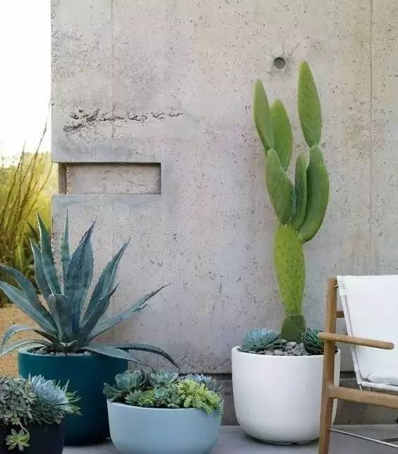 水泥墻樸素寂靜的美，庭院設(shè)計