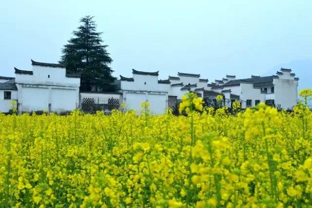 中國(guó)建筑六大派之一，皖派建筑