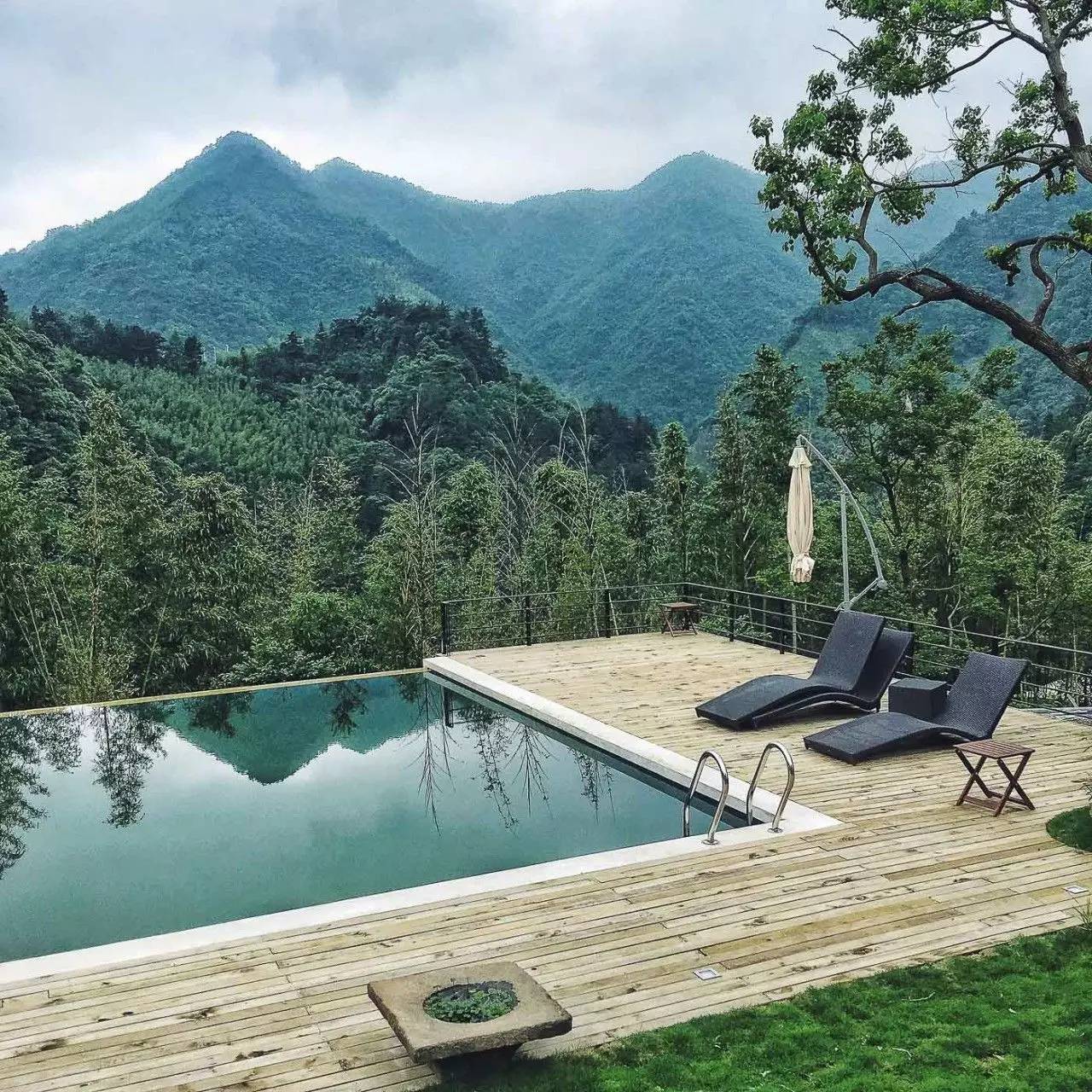 一山九舍 ， 游弋翠竹山林之中