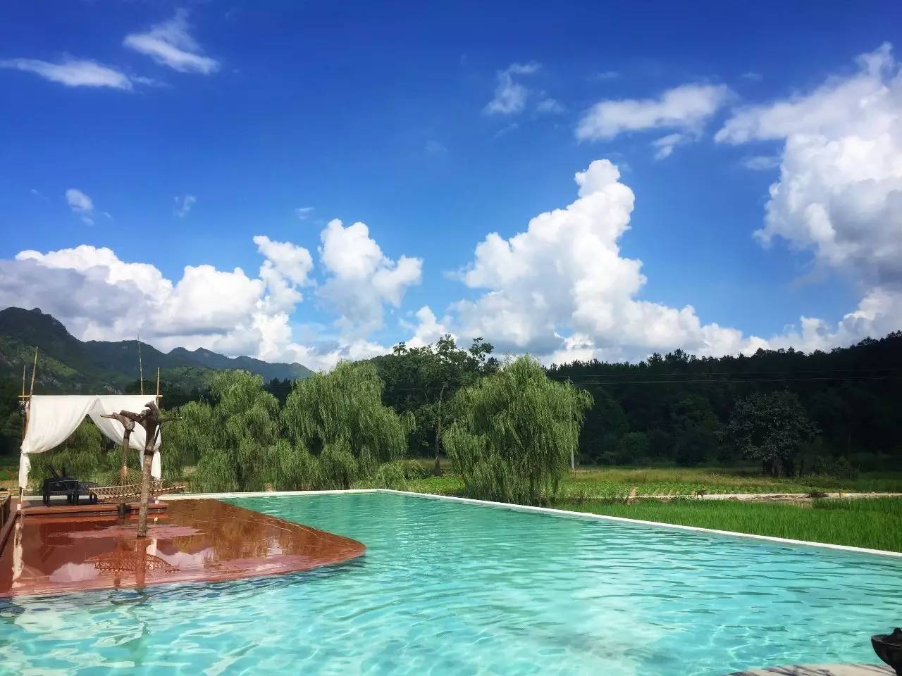 悅庭楠舍 ，兼顧田園風(fēng)光與遠(yuǎn)山樹林