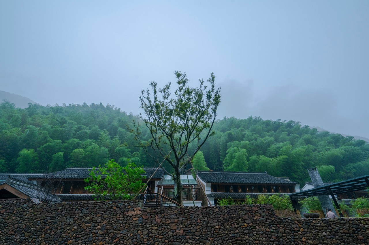 龍觀禪那，靈魂安放之處的民宿