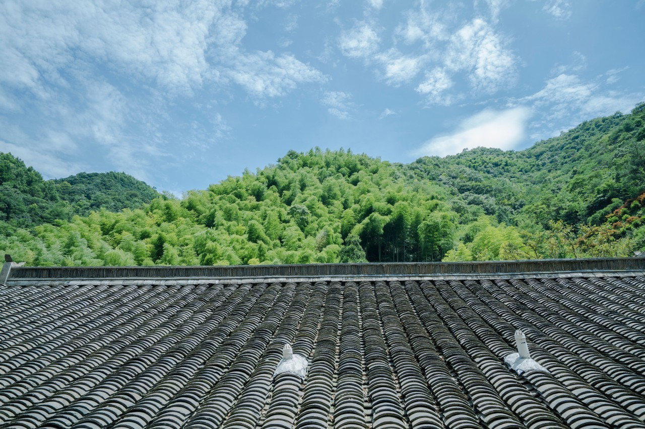 龍觀禪那，靈魂安放之處的民宿