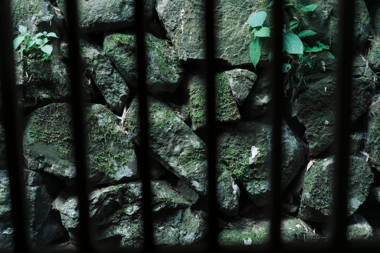 龍觀禪那，靈魂安放之處的民宿