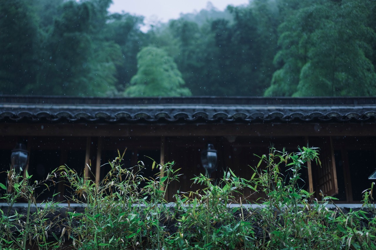 龍觀禪那，靈魂安放之處的民宿