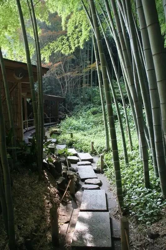 庭院設(shè)計，竹子在庭院中造景的運用