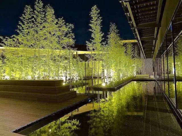 庭院設(shè)計(jì)，竹子在庭院中造景的運(yùn)用