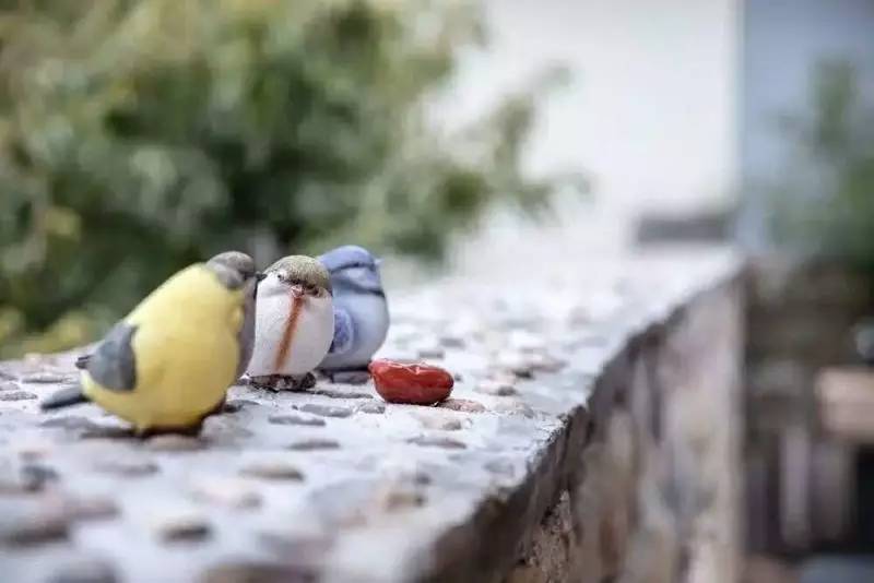 大舍為鄰，北京懷柔民宿設(shè)計