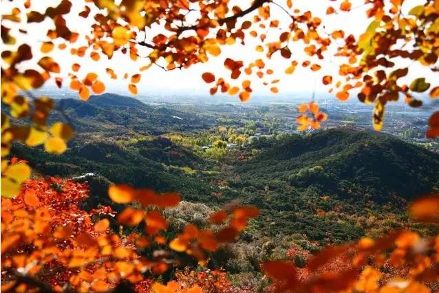 大舍為鄰，北京懷柔民宿設(shè)計(jì)