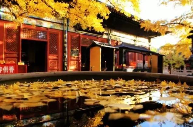 大舍為鄰，北京懷柔民宿設(shè)計(jì)