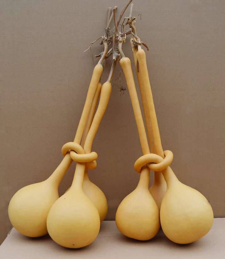 驚呆了，造型獨(dú)特的葫蘆工藝品