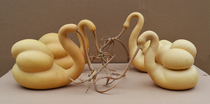 驚呆了，造型獨(dú)特的葫蘆工藝品