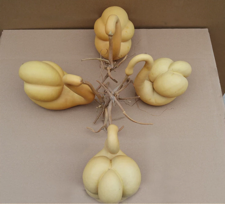 驚呆了，造型獨(dú)特的葫蘆工藝品