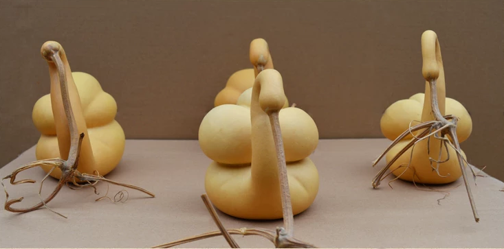 驚呆了，造型獨(dú)特的葫蘆工藝品