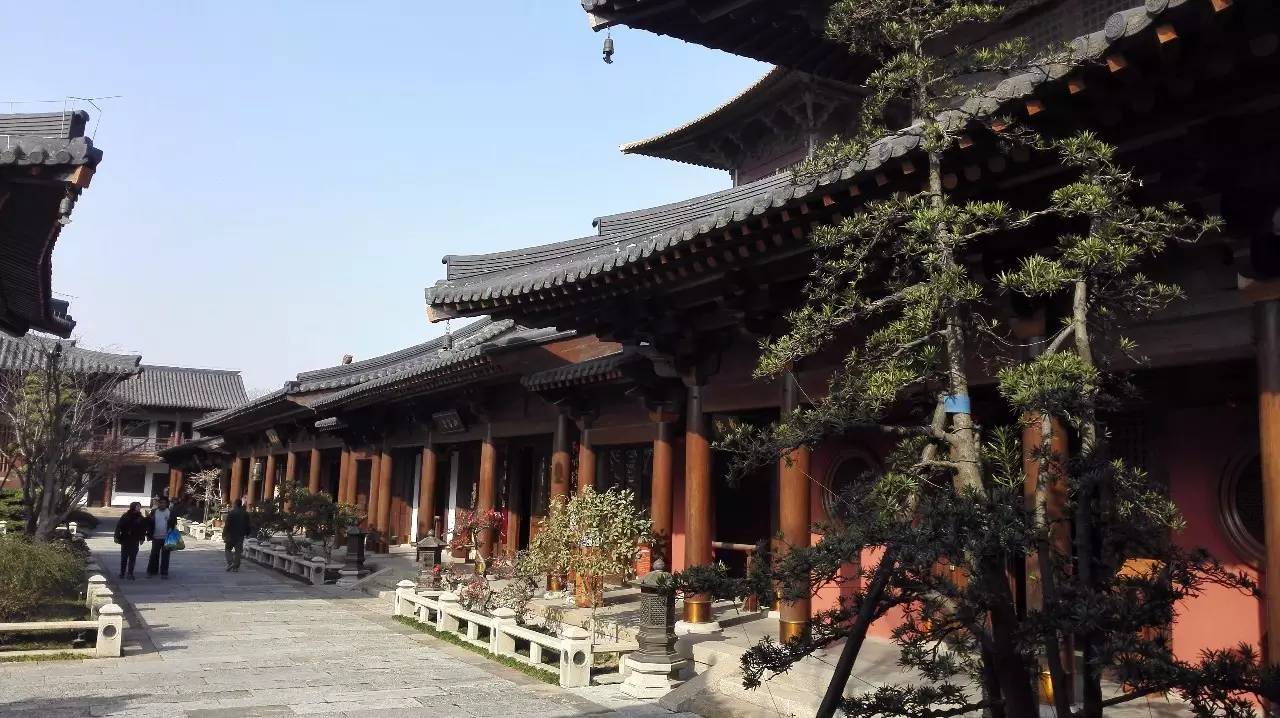 膩害了，上海有座40000㎡的水下博物館