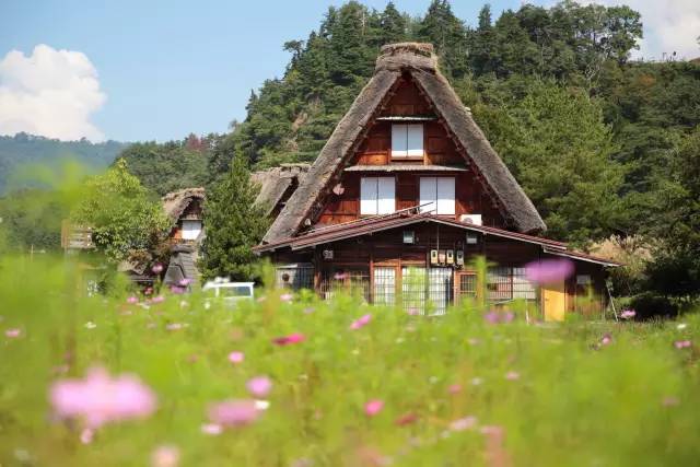 膩害了，上海有座40000㎡的水下博物館