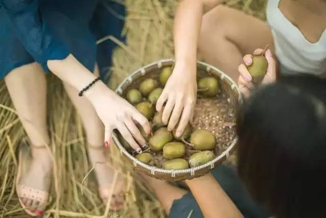竹里云溪民宿設(shè)計(jì)，回歸田園