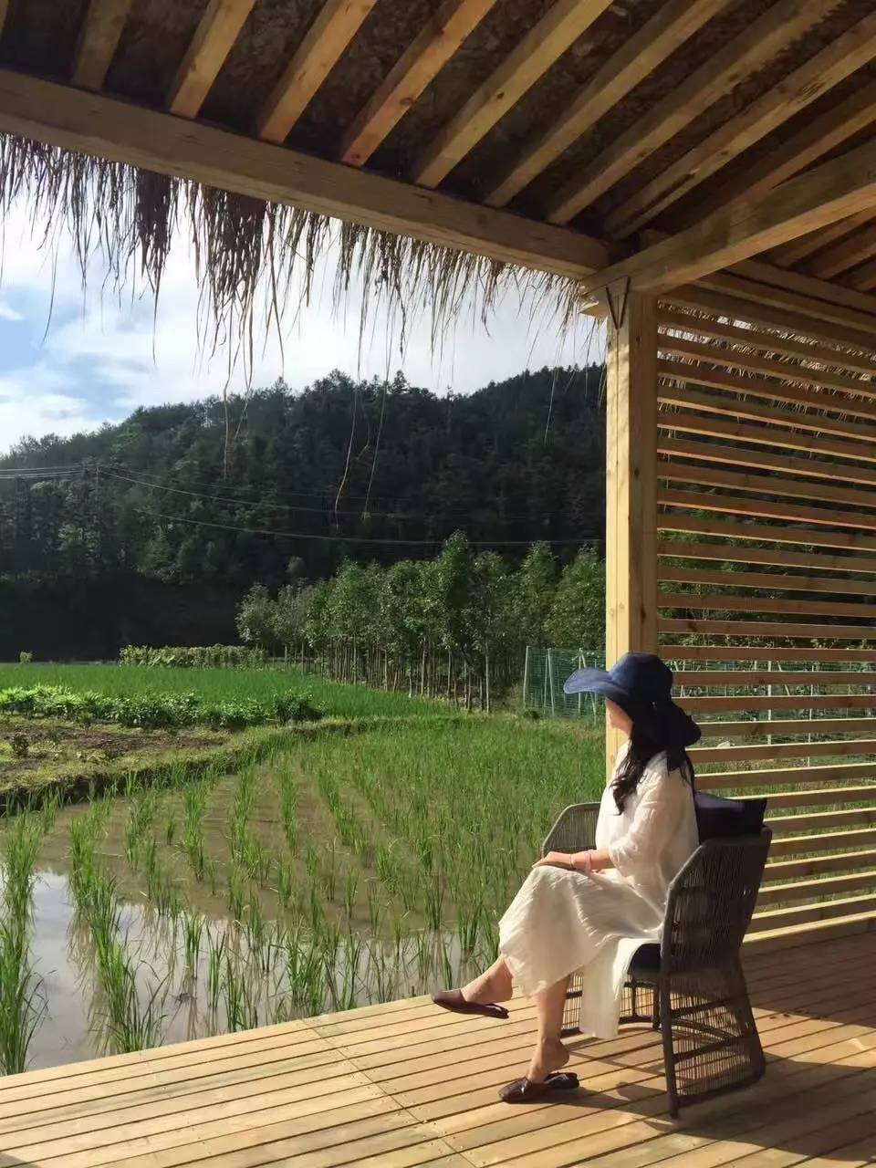 竹里云溪民宿設(shè)計(jì)，回歸田園