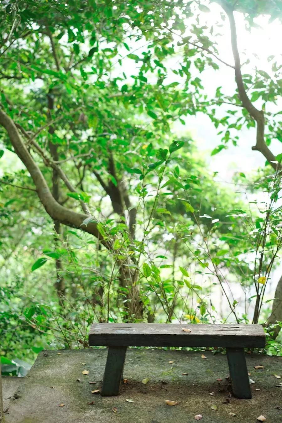 臺灣最文藝的山間小屋，數(shù)樹民宿設(shè)計(jì)