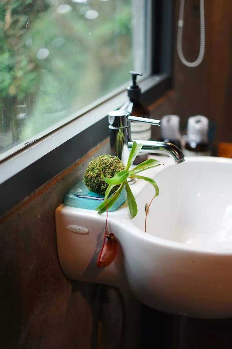 臺灣最文藝的山間小屋，數(shù)樹民宿設(shè)計(jì)