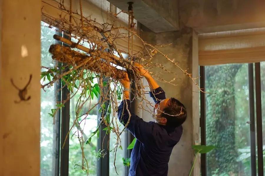 臺灣最文藝的山間小屋，數(shù)樹民宿設(shè)計