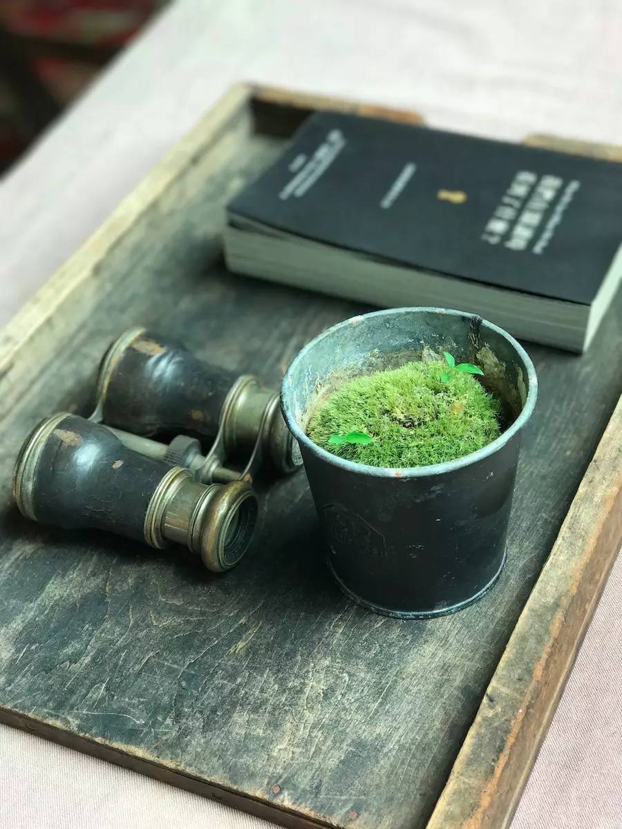 臺灣最文藝的山間小屋，數(shù)樹民宿設(shè)計