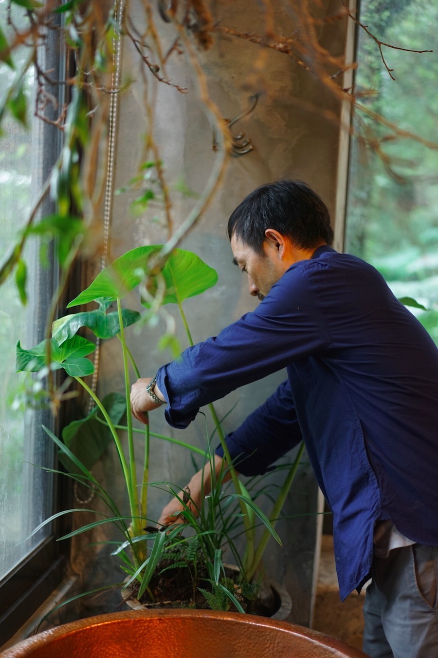 臺灣最文藝的山間小屋，數(shù)樹民宿設(shè)計