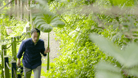 臺(tái)灣最文藝的山間小屋，數(shù)樹(shù)民宿設(shè)計(jì)