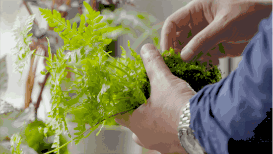 臺灣最文藝的山間小屋，數(shù)樹民宿設(shè)計