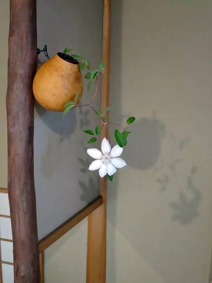 日本茶道文化的八大美：缺陷、簡(jiǎn)素、枯槁、自