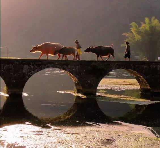 中國古建筑之古橋藝術