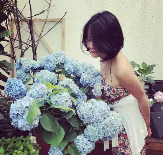 林中四舍民宿設(shè)計，一所鳥語花香的小木屋