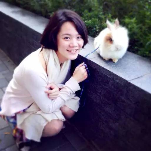 林中四舍民宿設(shè)計，一所鳥語花香的小木屋