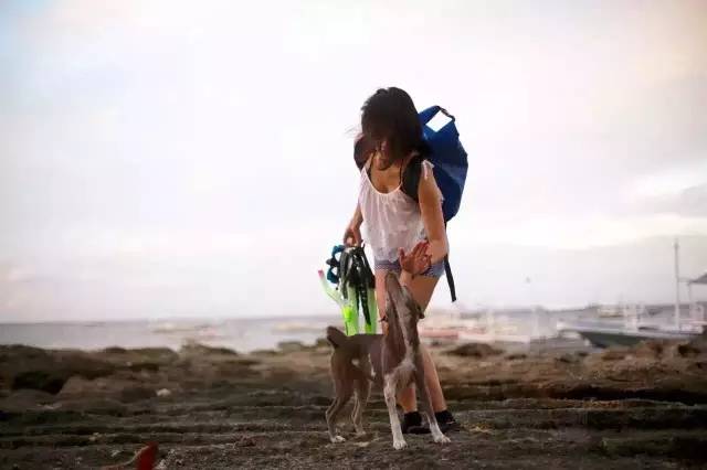 林中四舍民宿設(shè)計，一所鳥語花香的小木屋