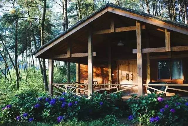 林中四舍民宿設(shè)計，一所鳥語花香的小木屋
