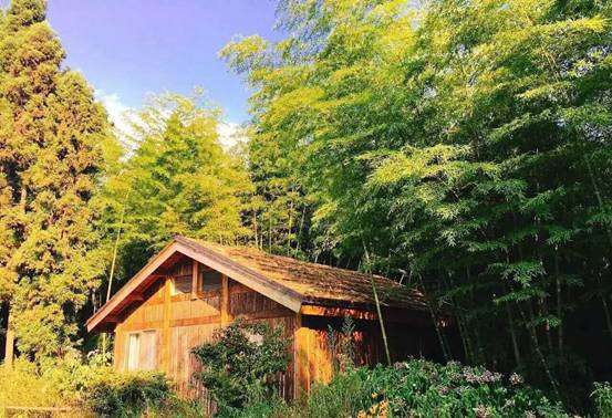 林中四舍民宿設(shè)計(jì)，一所鳥(niǎo)語(yǔ)花香的小木屋