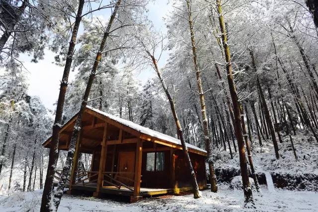 林中四舍民宿設(shè)計(jì)，一所鳥語花香的小木屋