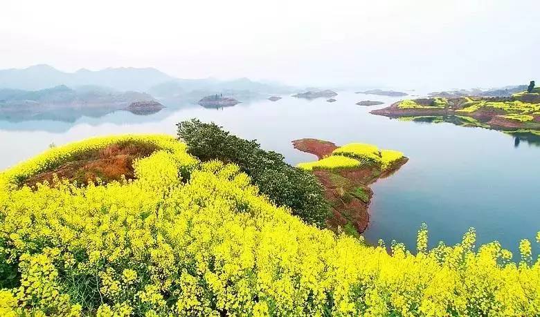 景瀾·返里民宿設(shè)計(jì)，返回故里