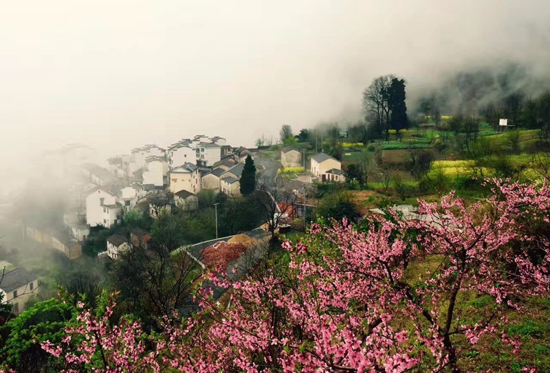 景瀾·返里民宿設計，返回故里