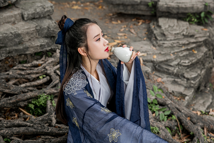 家佳樂文學(xué)大袖衫漢元素漢服古裝美女圖片