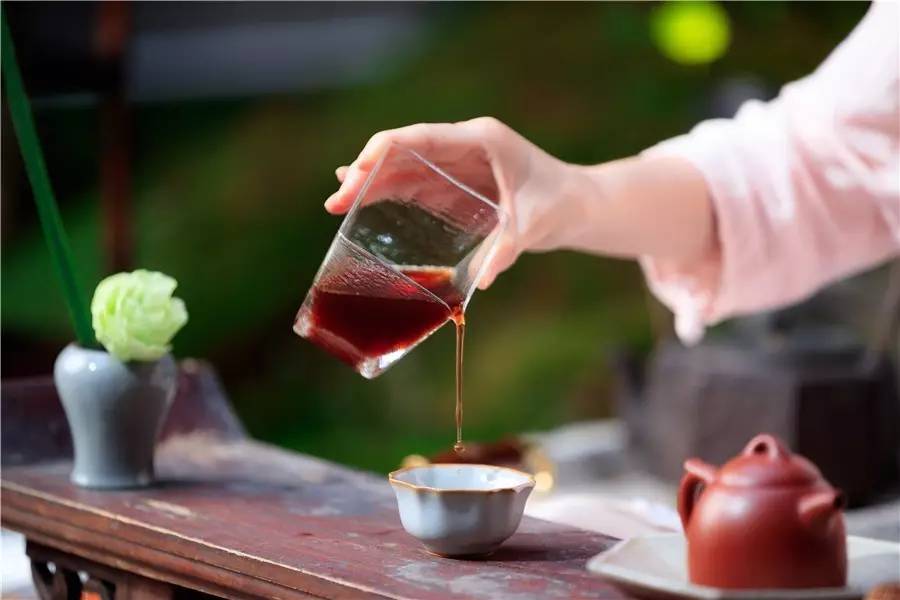 觀芷隱軒，以茶會(huì)友的民宿