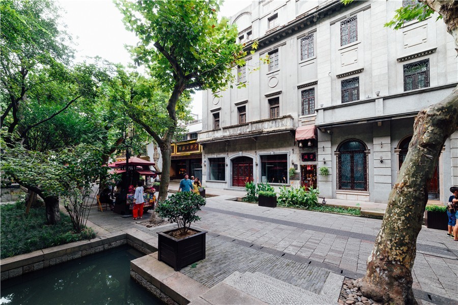 觀芷隱軒，以茶會(huì)友的民宿