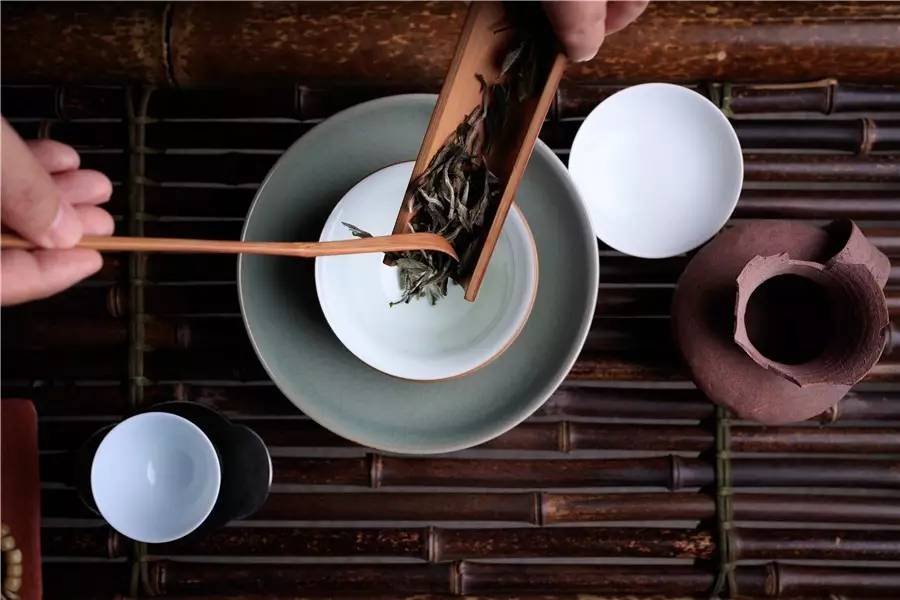 觀芷隱軒，以茶會(huì)友的民宿