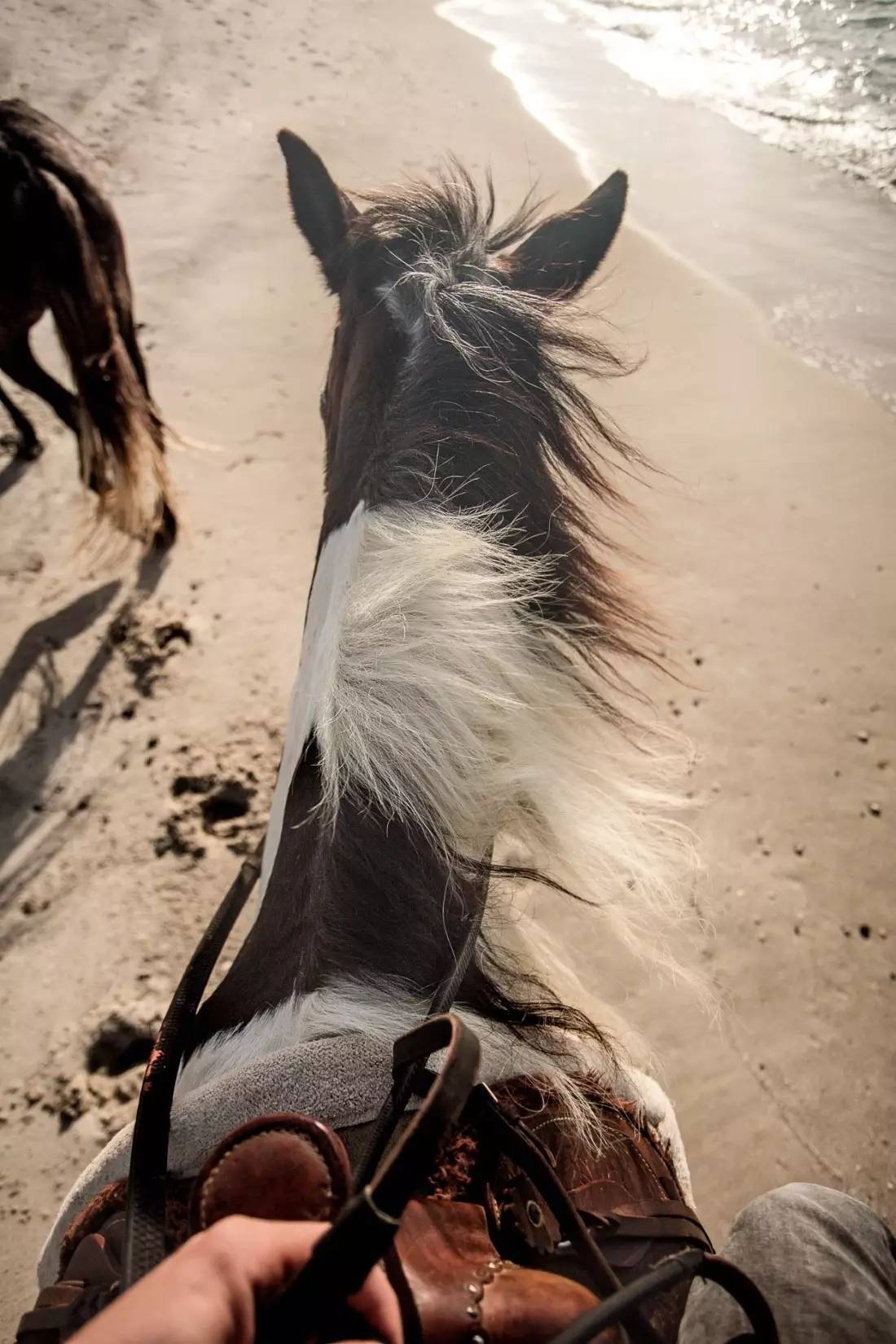 民宿的最高境界，Casa Cook Kos民宿酒店侘寂之美