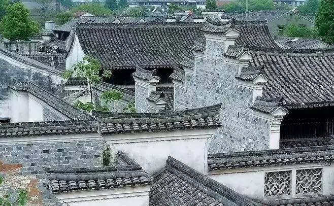 慈舍，悲喜隱去慈從舍生