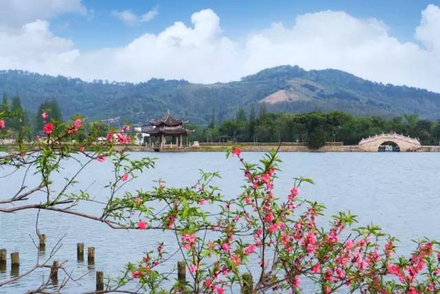 慈舍，悲喜隱去慈從舍生