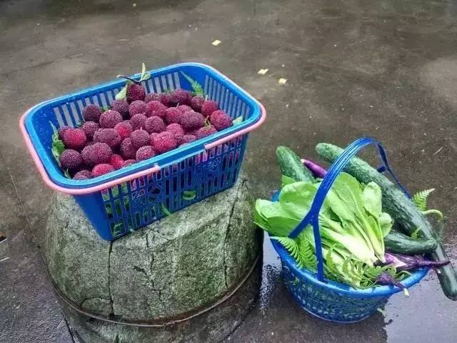 慈舍，悲喜隱去慈從舍生