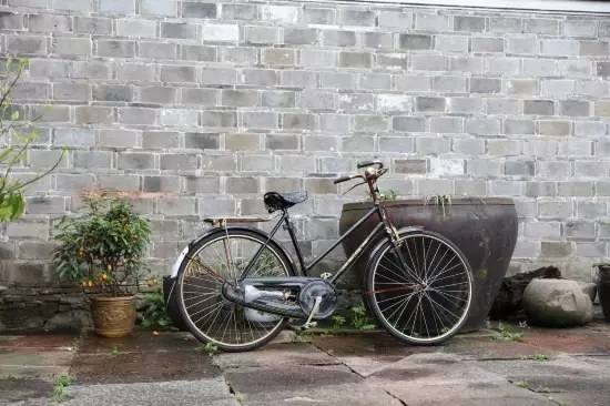 慈舍，悲喜隱去慈從舍生