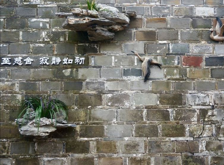 慈舍，悲喜隱去慈從舍生