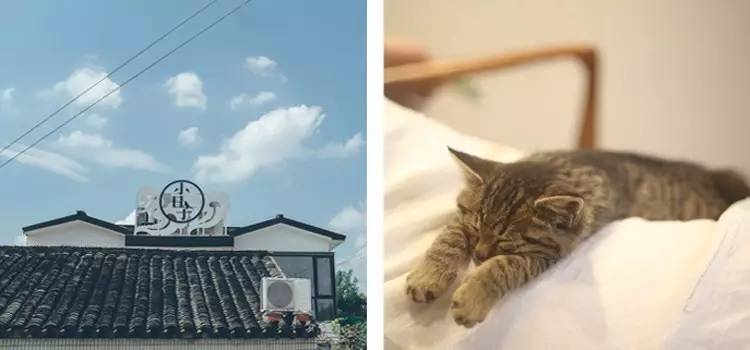 小日子生活館，選一本書過(guò)自己的生活方式