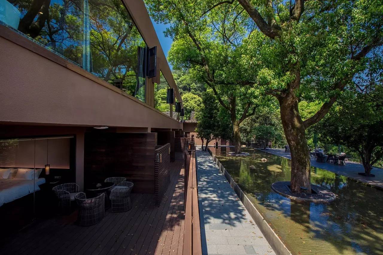 杭州龍井茂居民宿，在茶田之中枕著茶香入睡